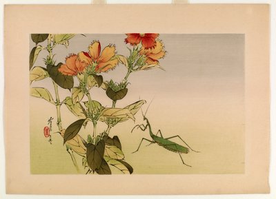 Fiore di campione e mantide religiosa, dalla serie Fiori e Uccelli di Seitei, 1916 da Watanabe Seitei